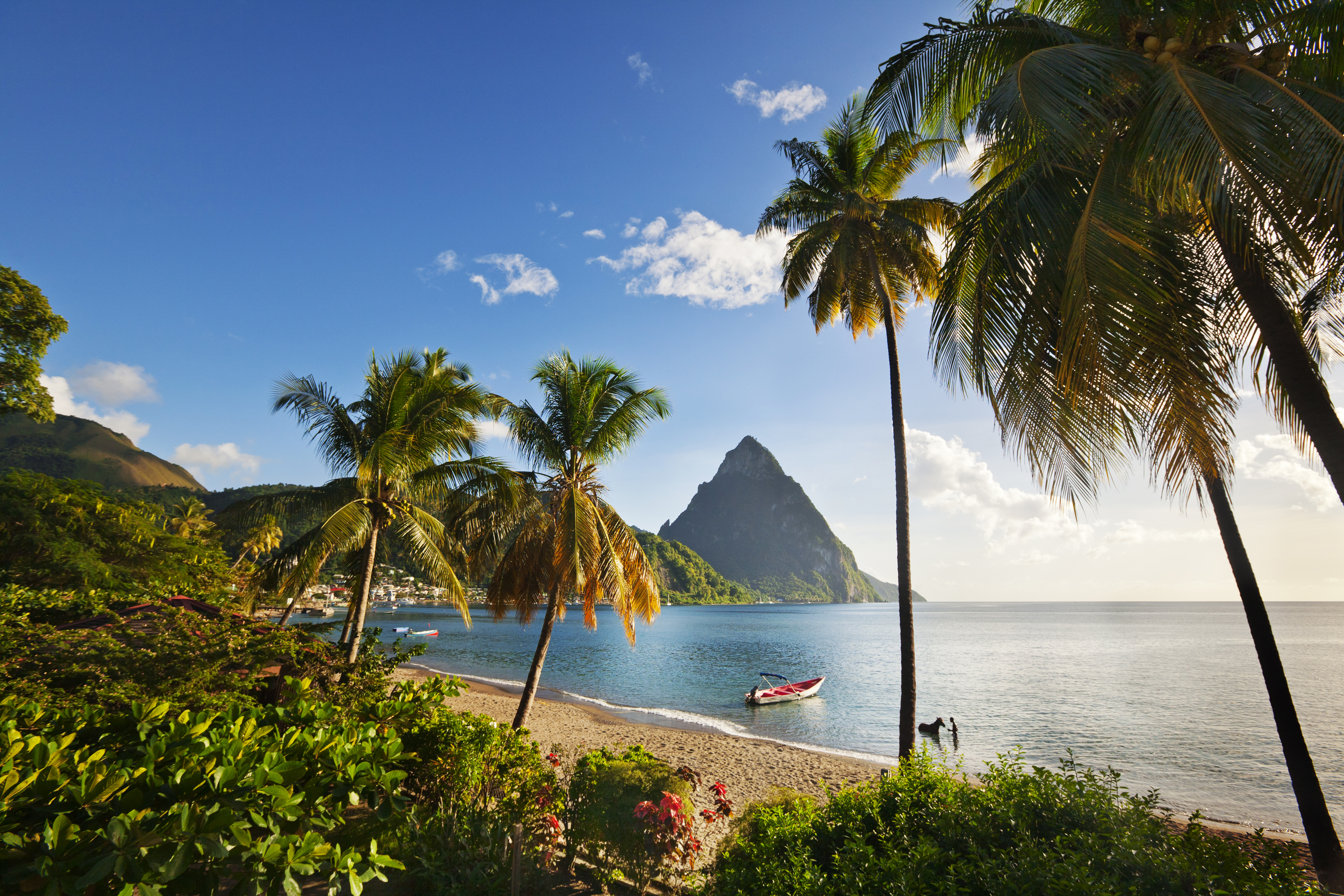 St. Lucia & Beyond